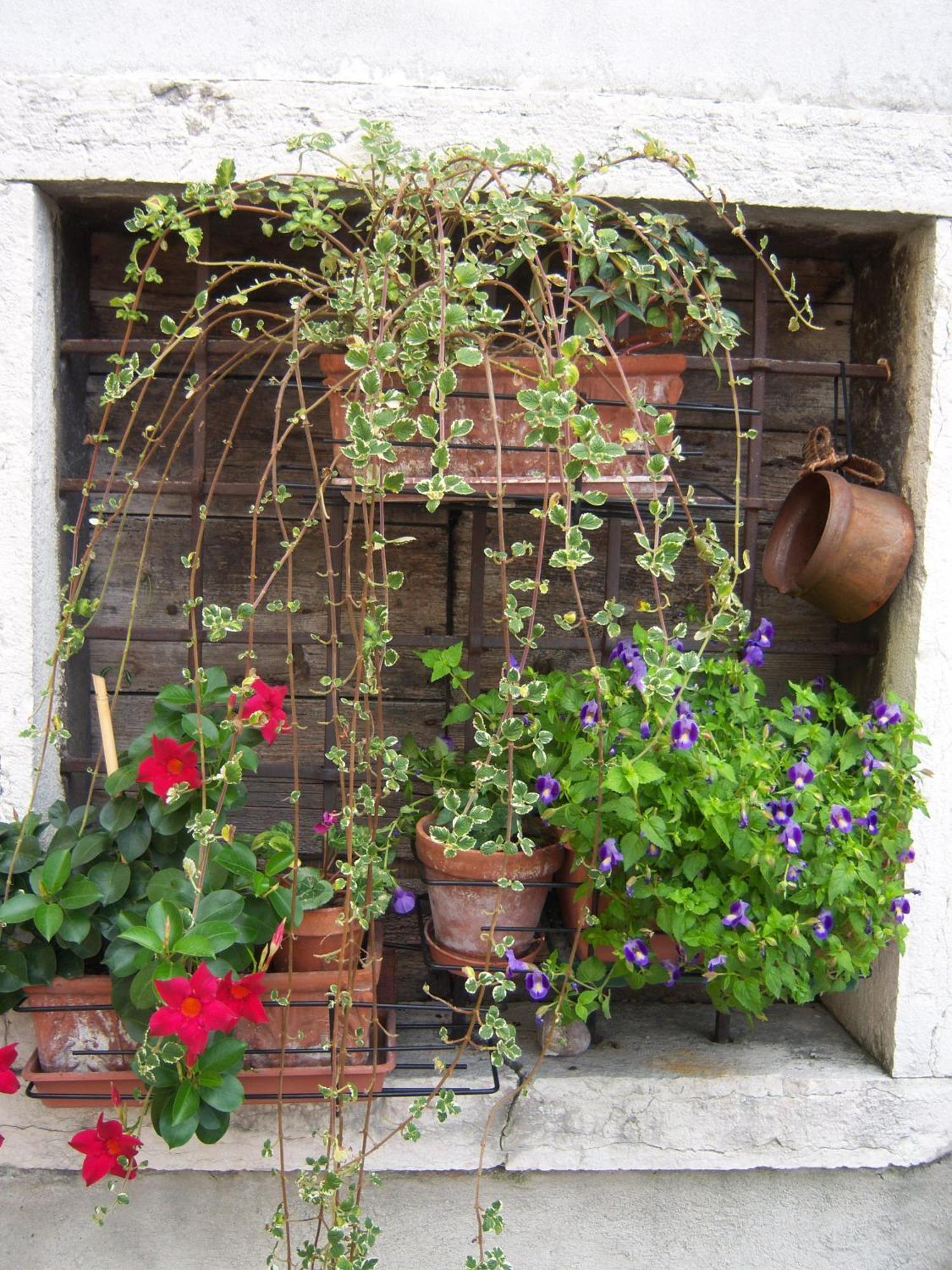 Corte Barbieri Bed & Breakfast Dolce