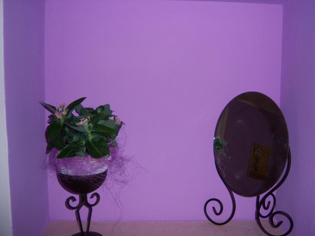 Bed & Breakfast Corte Barbieri