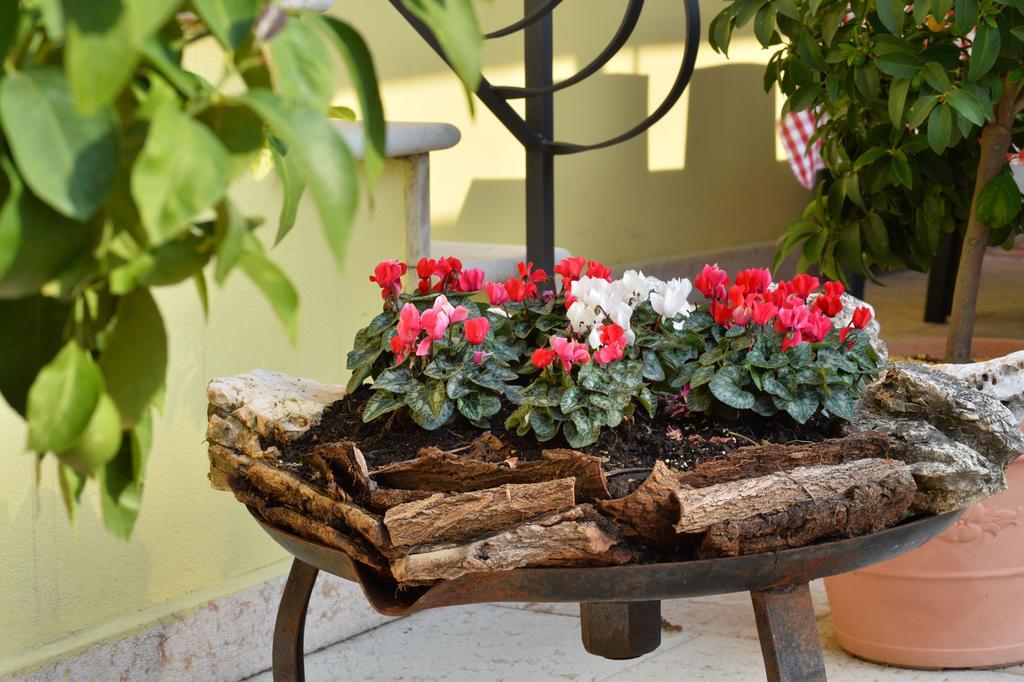 Corte Barbieri Bed & Breakfast *